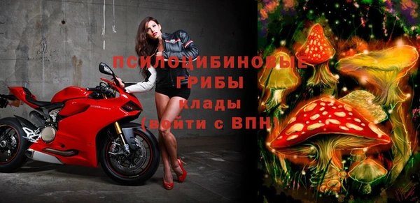 молекула духа Алзамай