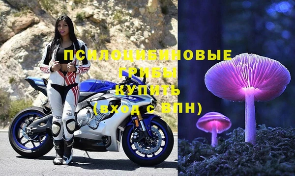 МДПВ Алексеевка