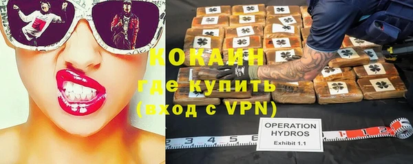 молекула духа Алзамай