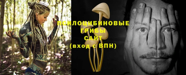 PSILOCYBIN Алексин