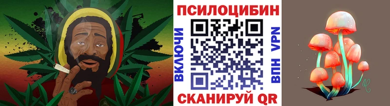 Псилоцибиновые грибы Psilocybine cubensis  Купить  Туймазы 